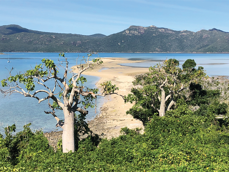 view from Langford Island Lookout over sand spit and bottleneck trees